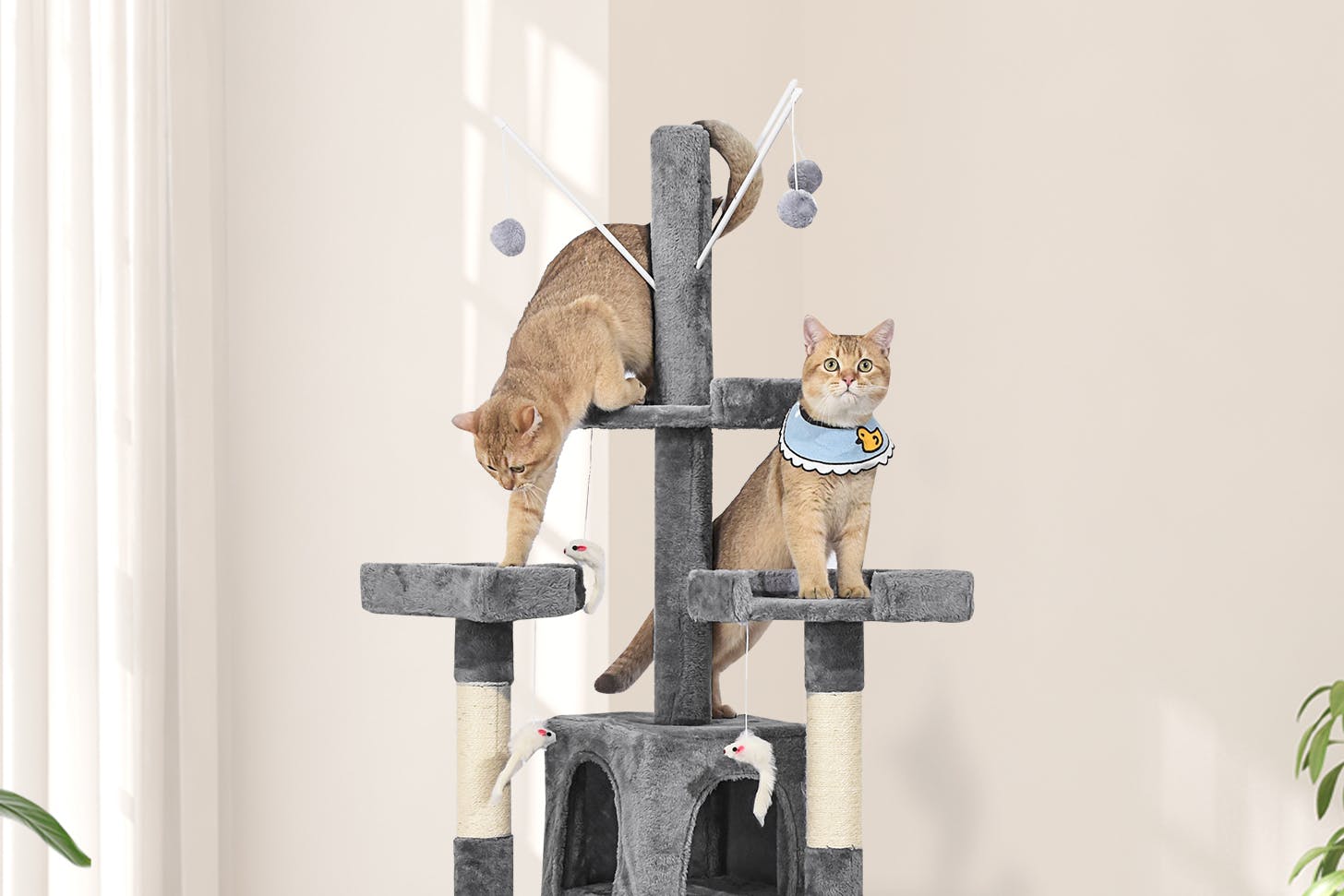 Best Cat Trees to Shop In Australia